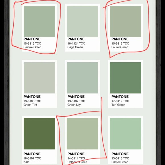 SPANX supersmooth™ Stretch Twill Cropped Wide Leg Pant Cypress / Tall / 2X - Picture 3 of 3